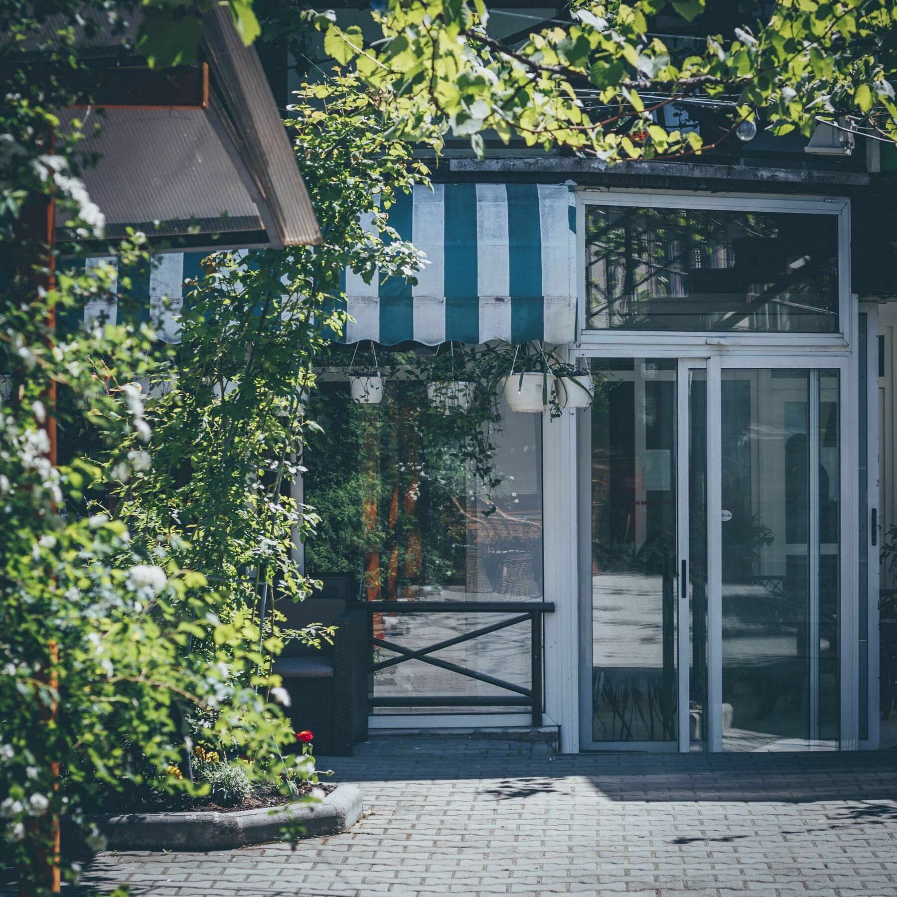 Gasthof Sara 锡比乌 外观 照片